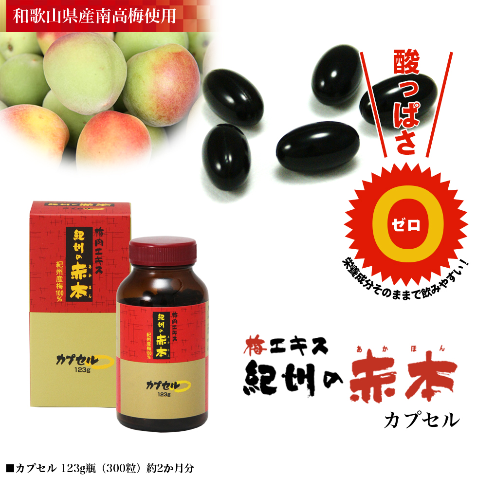紀州の赤本カプセル