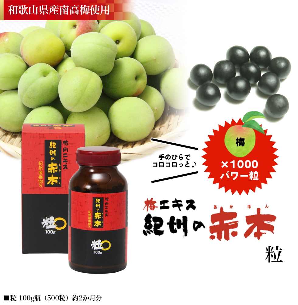 紀州の赤本粒