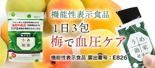 umekouka1.jpg
