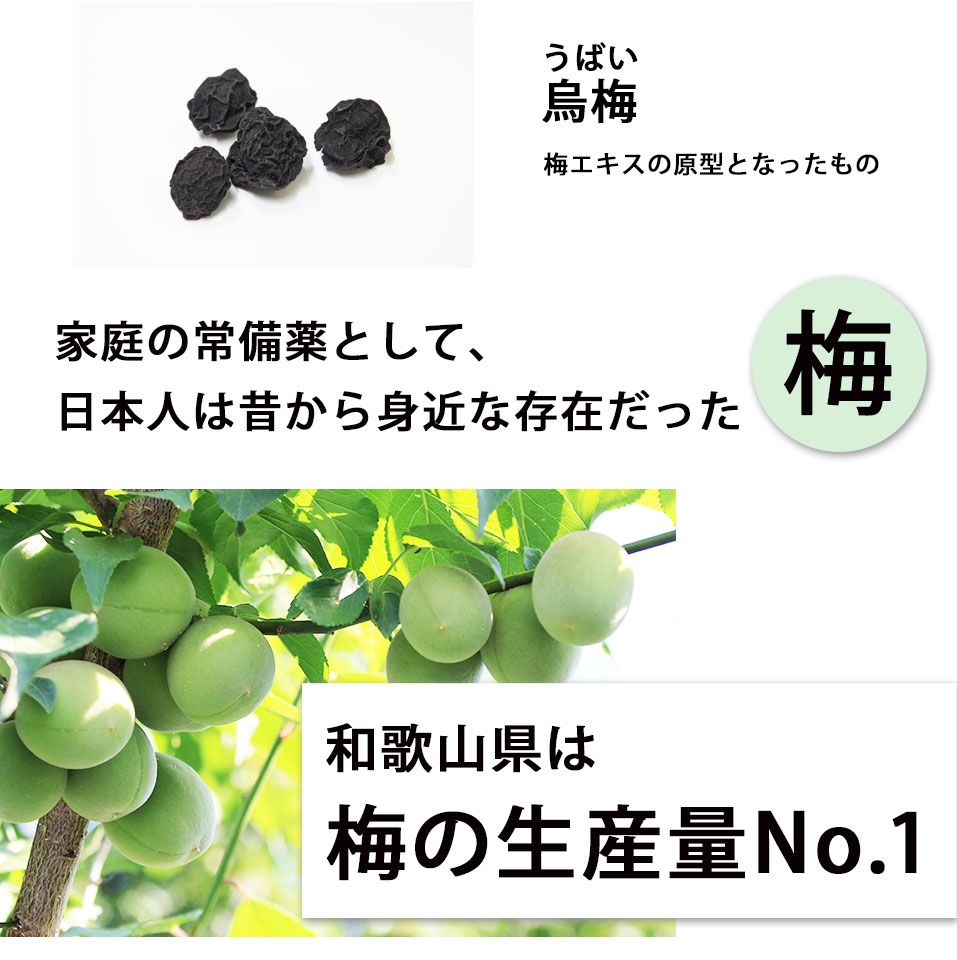 家庭の常備薬としての梅エキス、和歌山県の梅を使用