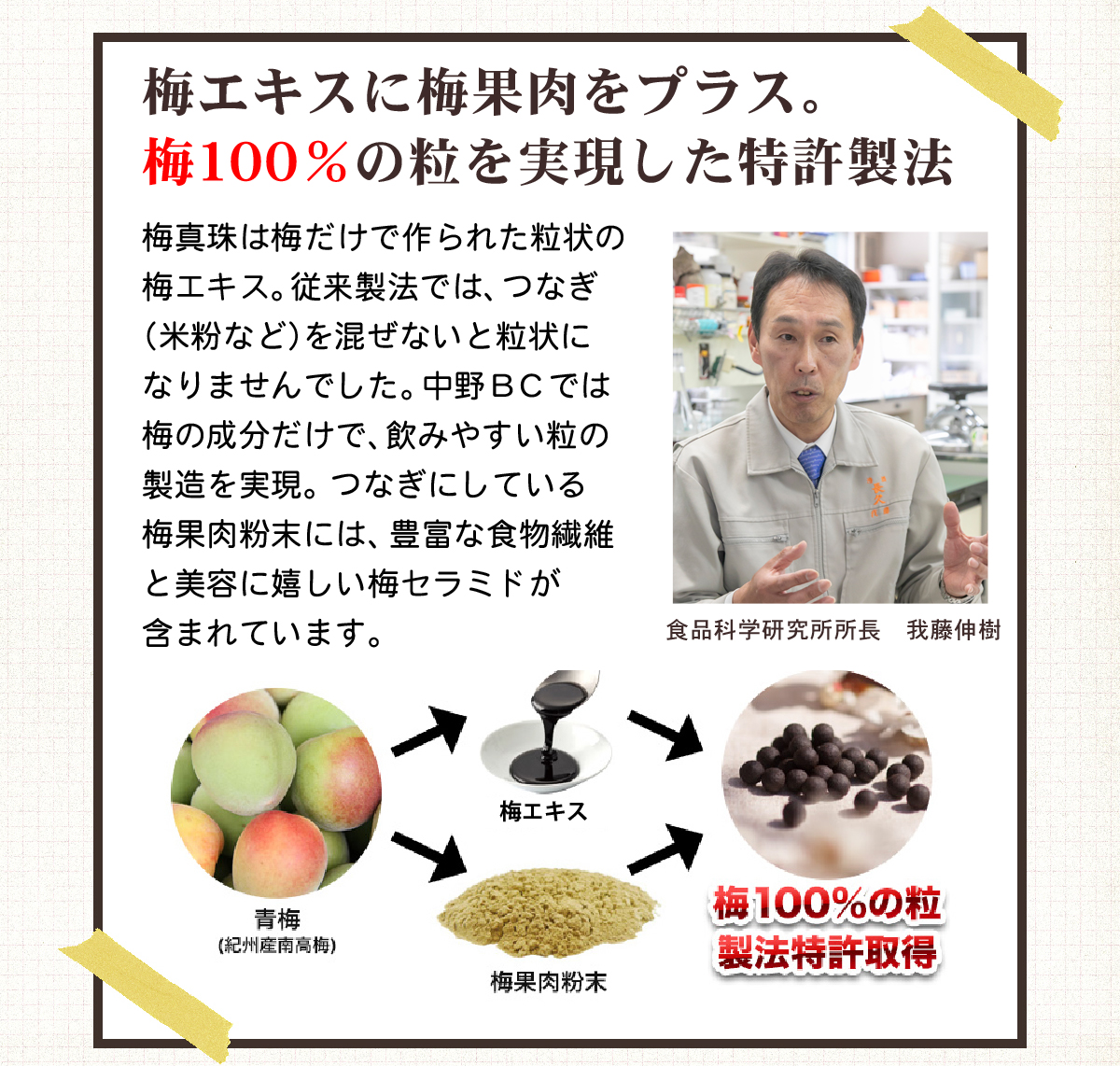 100%梅の粒梅真珠でインフルエンザ対策