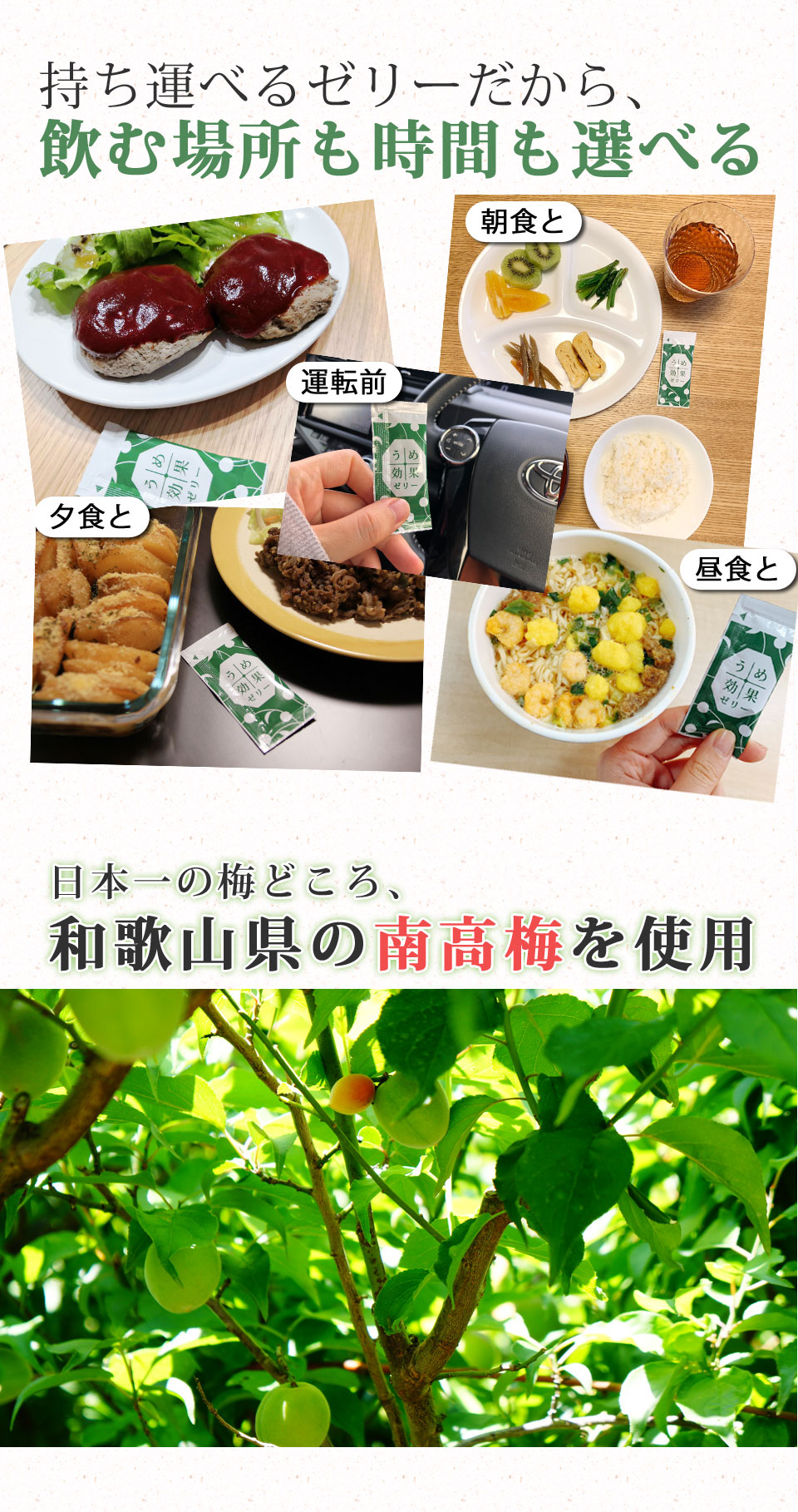うめ効果ゼリー