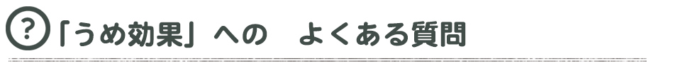 梅真珠へのよくある質問