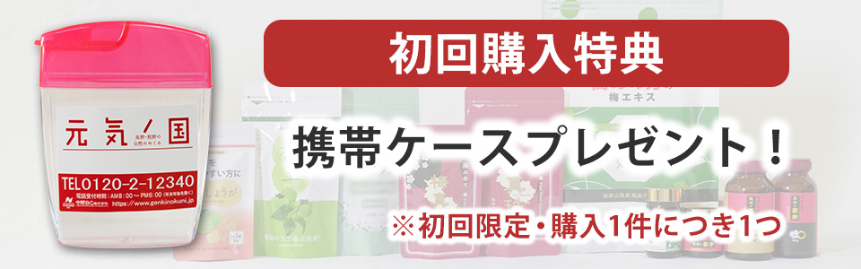 携帯ケース付き