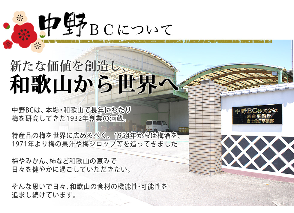 中野BCについて