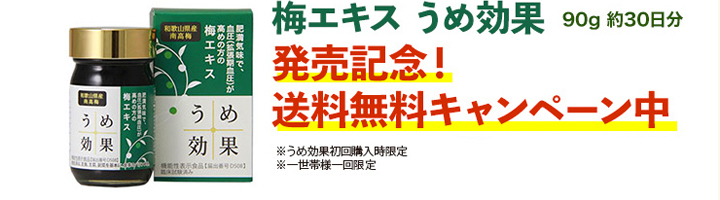 うめ効果,世界一酸っぱい梅肉エキス