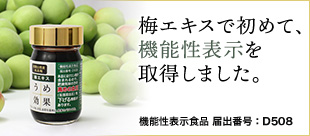 umekouka1.jpg