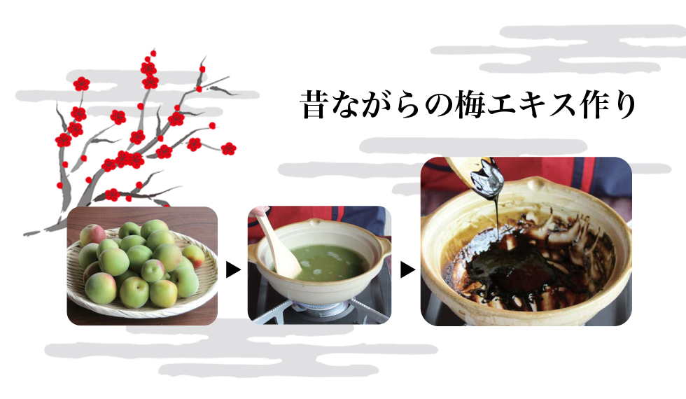 昔ながらの梅エキス作り