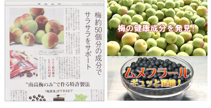 ムメフラール
