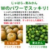じゃばら×青みかん　Wパワーでピタッ！
